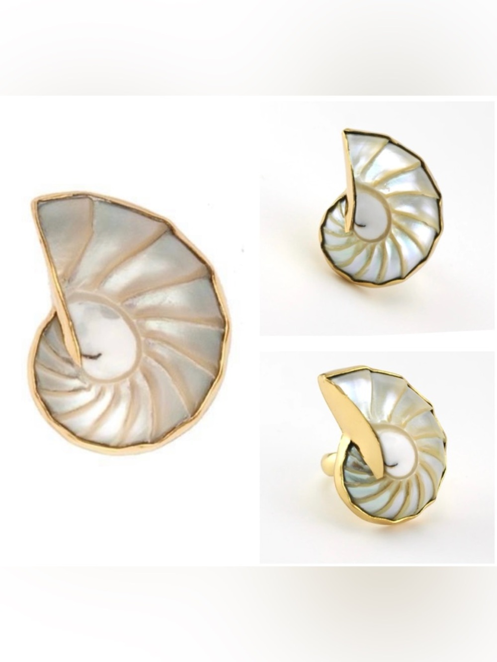 Charles Albert | Unique Shell Ring | Adjustable Size